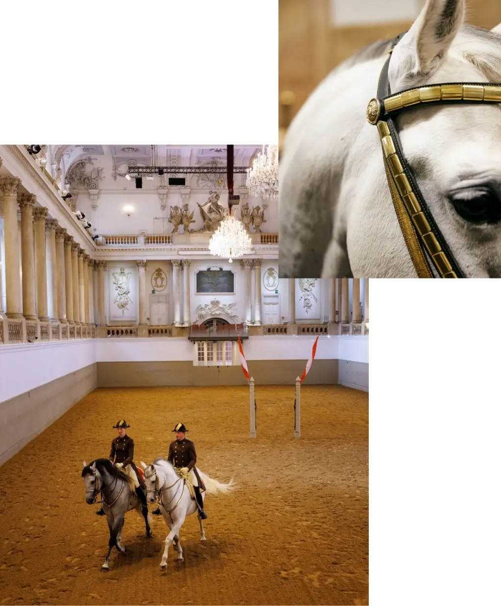 Dos jinetes en caballos blancos en una gran arena cubierta con arquitectura ornamentada y candelabros