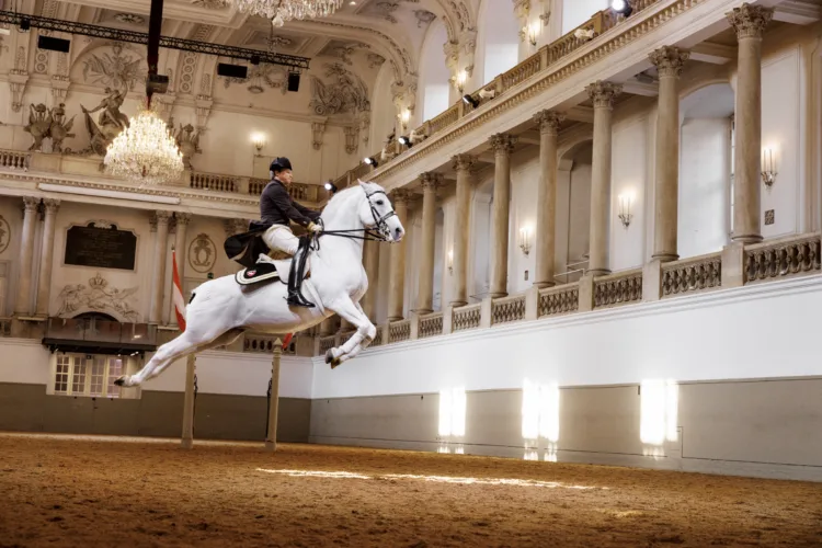 A rider on a white horse performing a dressage movement in an ornate indoor arena
