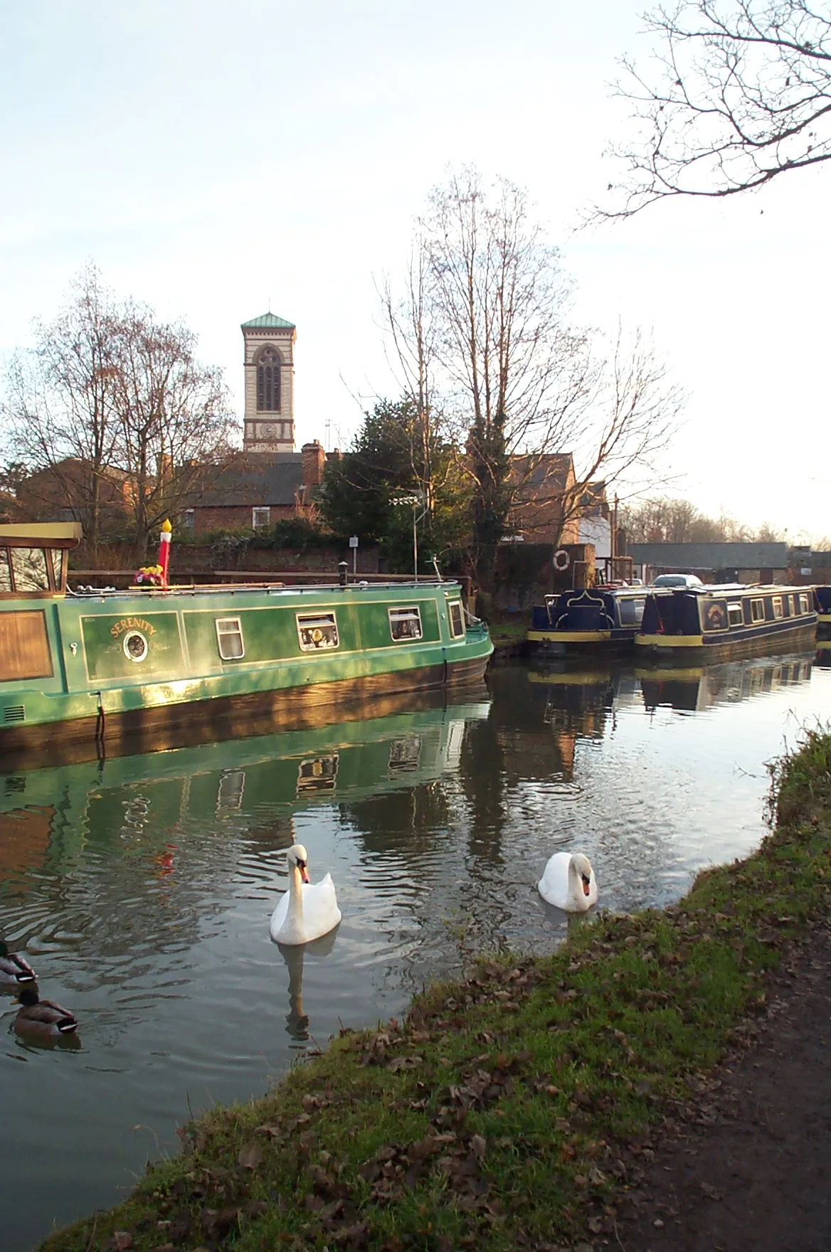 Scena na kanale z zielonymi łodziami typu narrowboat i białymi łabędziami, z kamienną wieżą kościoła St Barnabas Church widoczną w tle pośród nagich drzew.