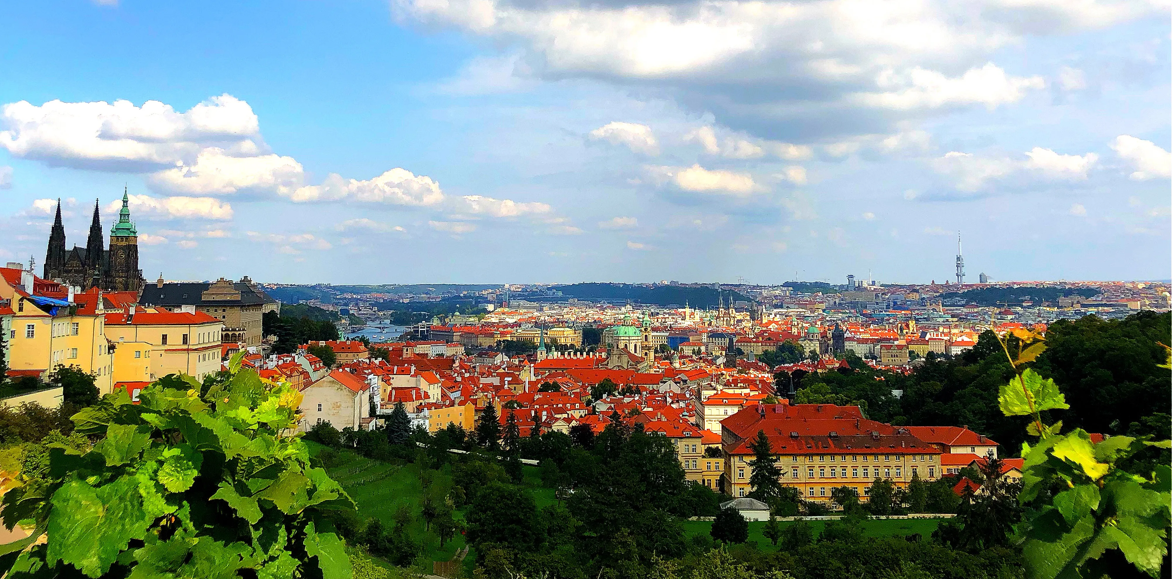 Panoramic view of Prague with red-roofed buildings and a blue sky with white clouds, viewed from an elevated position with green foliage in the foreground.