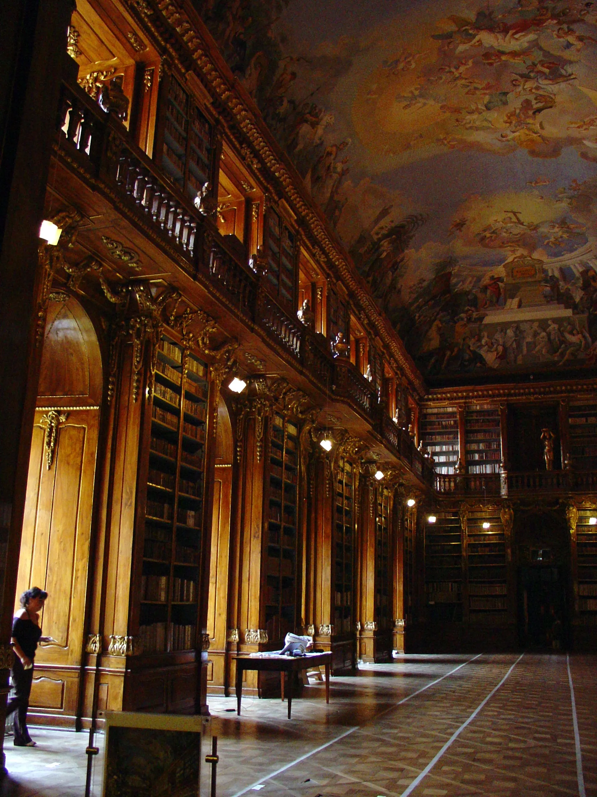 Interior of a grand library with tall wooden bookshelves, a painted ceiling fresco, and a person standing near the entrance