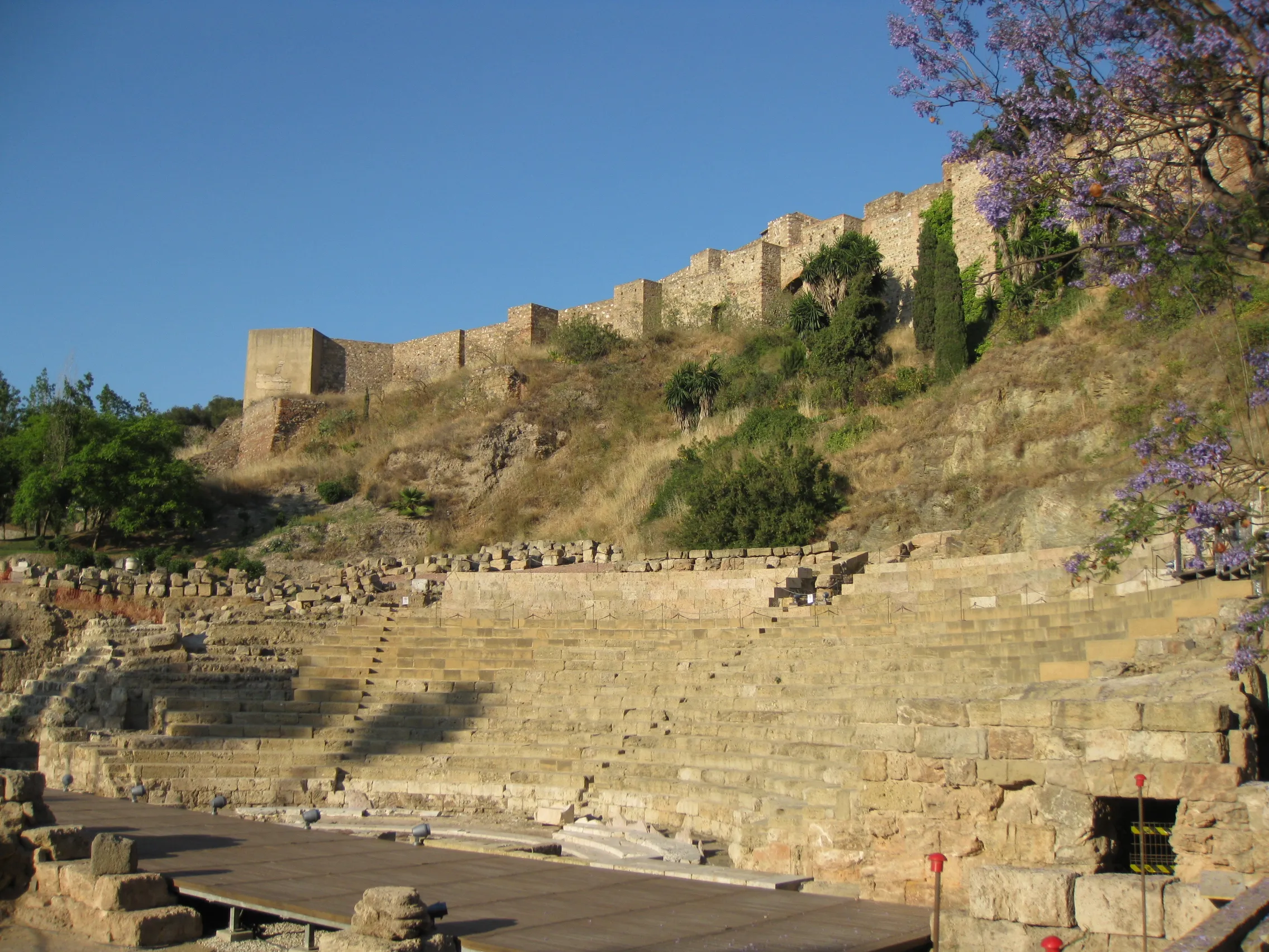 Gradas de piedra del teatro romano con las murallas de la fortaleza de la Alcazaba en la colina superior, enmarcadas por jacarandas con flores moradas bajo un cielo azul despejado.