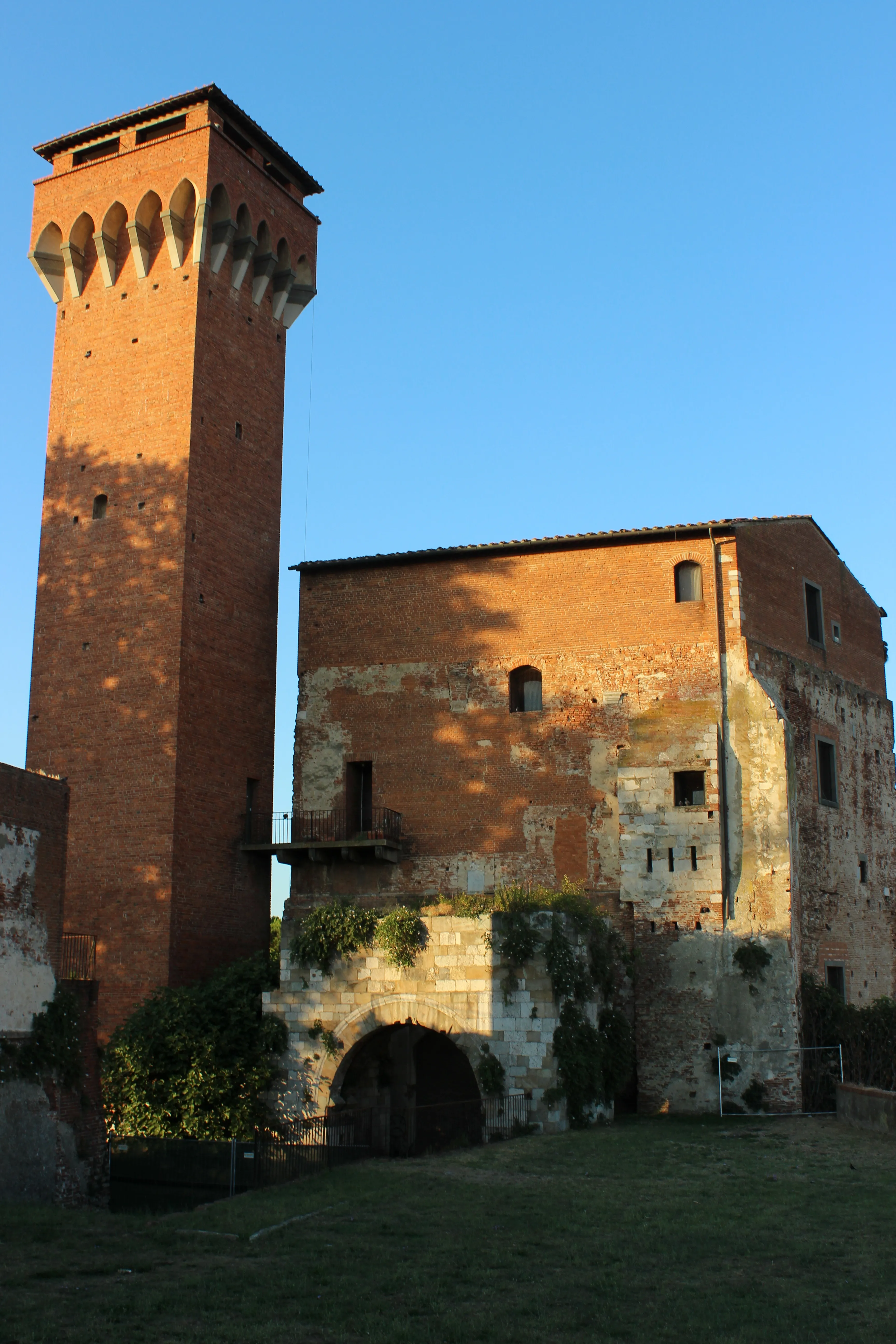 Reprezentatywny widok Torre Guelfa w Pizie.