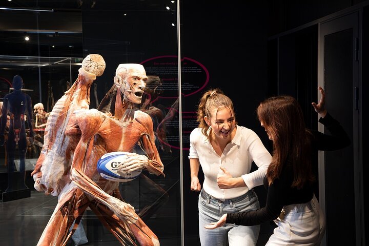 Two women react to anatomical models in glass cases showing muscular structures at the museum