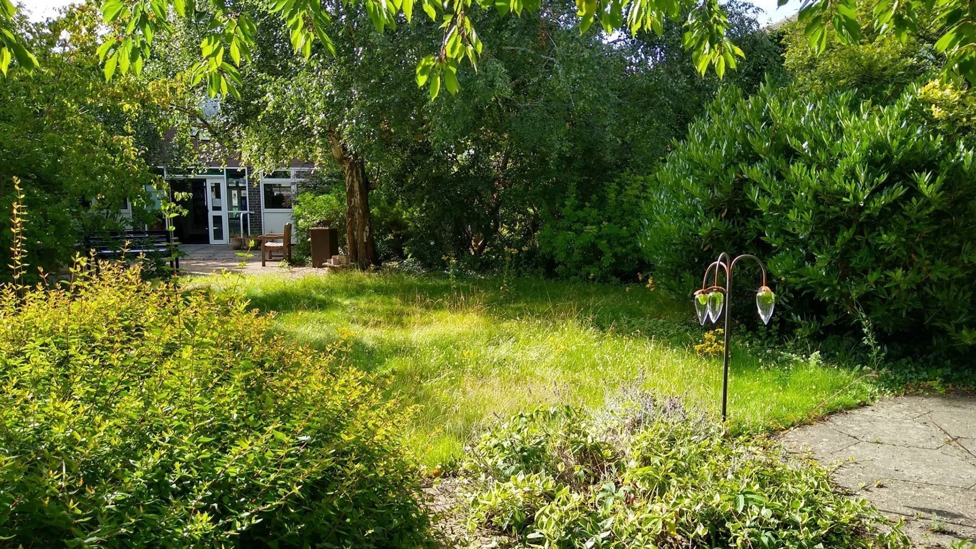 Weelderige groene tuin met bomen, gras, een verhard pad, hangplanten aan een metalen standaard en een gebouwingang die zichtbaar is door het gebladerte