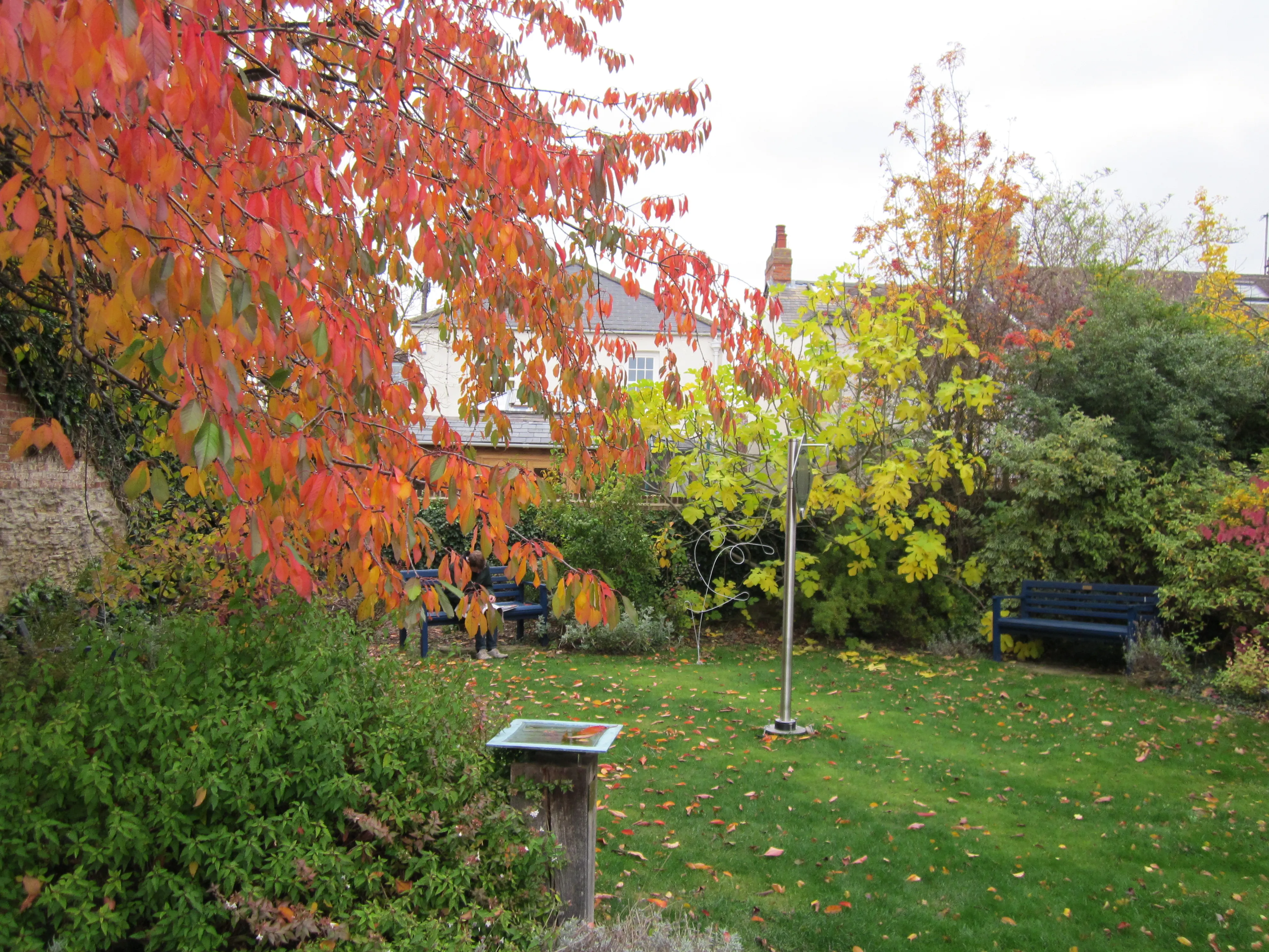 Herfsttuin met felgekleurde rode en oranje bladeren aan de linkerkant, een groen gazon, een hoog, slank metalen beeldhouwwerk in het midden, houten banken en een informatiebord op een houten paal op de voorgrond