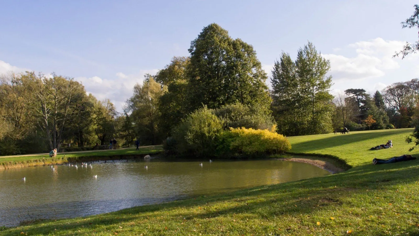 Weids uitzicht over de Oxford University Parks met een rustige vijver omringd door groene gazons en volwassen bomen onder een blauwe lucht, met mensen die ontspannen op het gras