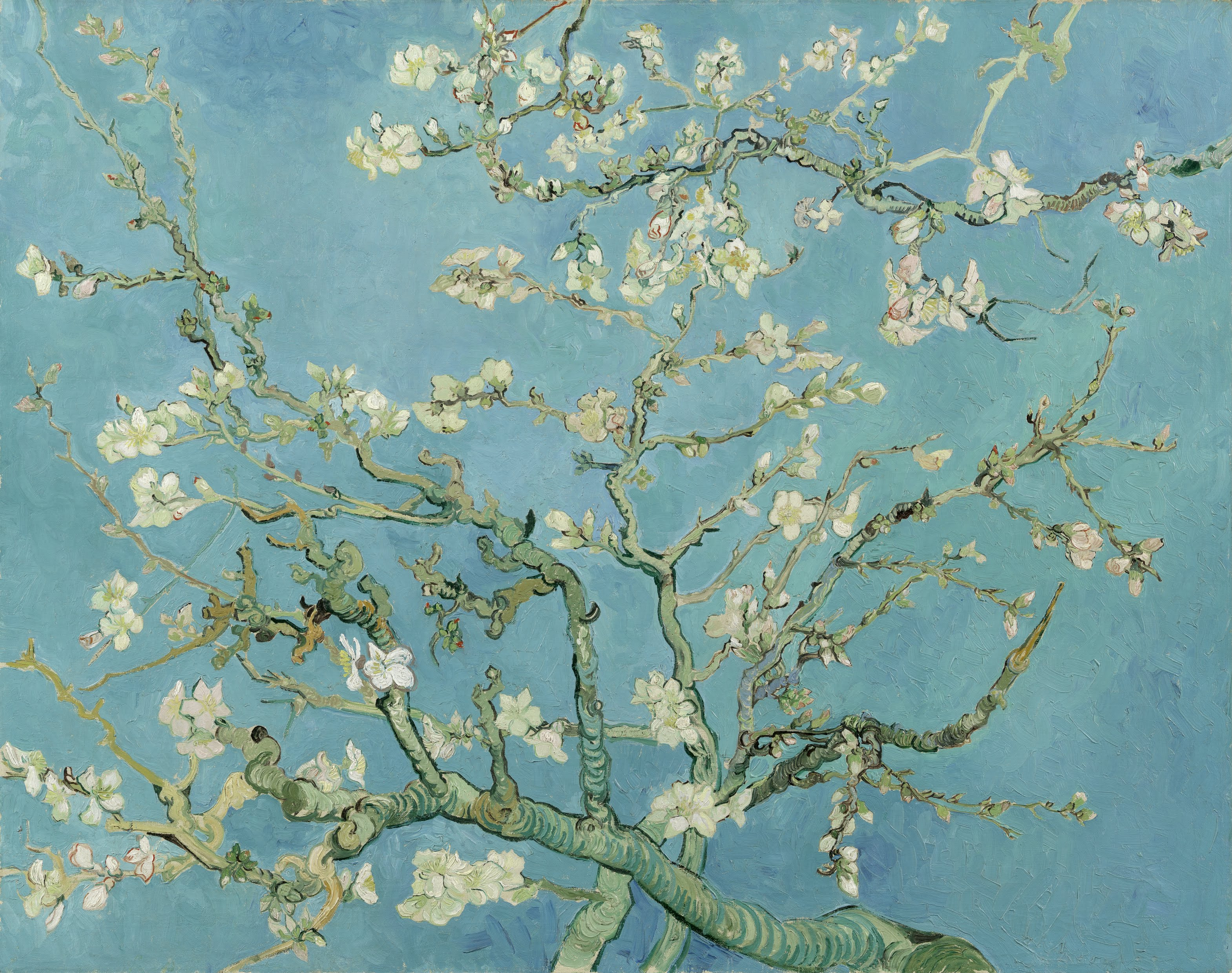 Pintura de Vincent van Gogh de almendros en flor sobre fondo azul