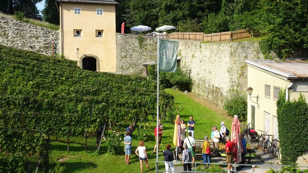 Vista exterior del Weinbau Museum Salzburg que muestra un viñedo en terrazas, el edificio amarillo Georgsturm con una entrada arqueada, muros de piedra y visitantes caminando por un sendero.
