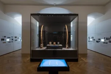 Glass display case with cultural artifacts in a museum gallery