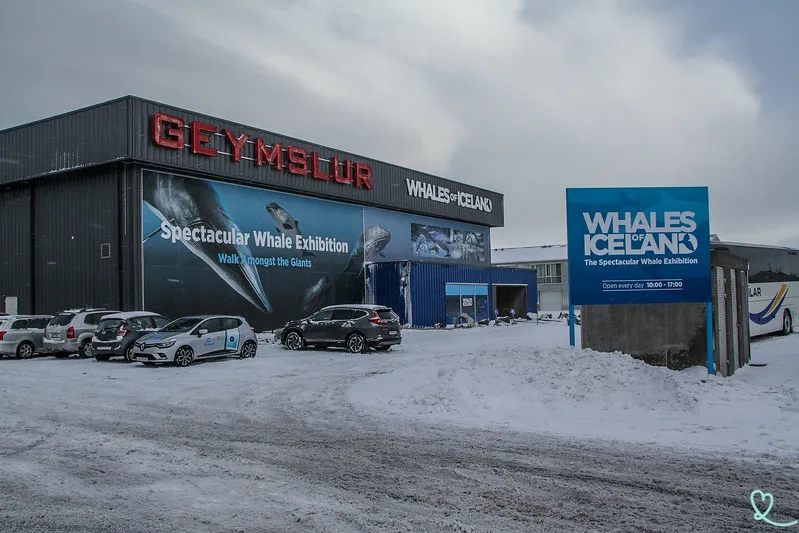 Zewnętrze budynku wystawy Whales of Iceland z dużym napisem GEYMSLUR, banerem z wielorybem i niebieską tabliczką wejściową, w otoczeniu śniegu i zaparkowanych samochodów
