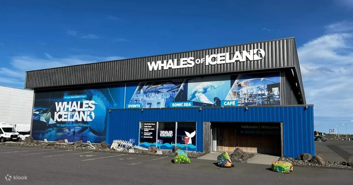 Niebieski budynek przemysłowy z dużym napisem „Whales of Iceland” i malowidłami wielorybów na elewacji pod błękitnym niebem