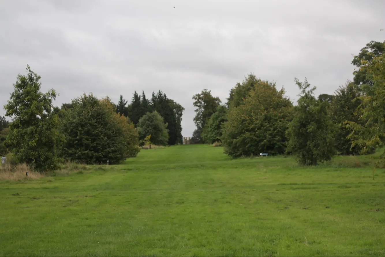 Un amplio prado de hierba flanqueado por hileras de árboles bajo un cielo nublado en el Yorkshire Arboretum