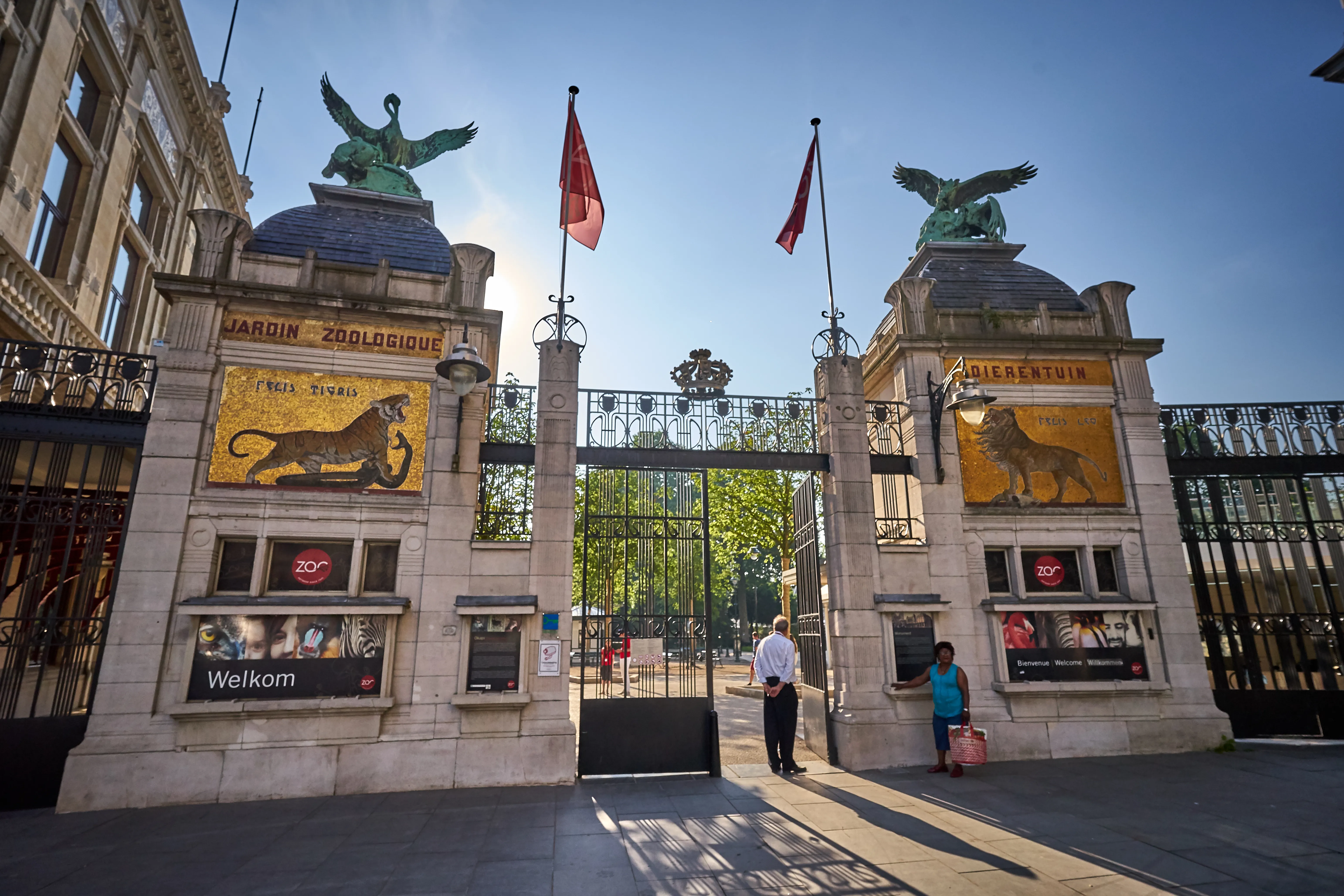 La gran puerta de entrada al ZOO Antwerpen que cuenta con dos pilares de piedra rematados con estatuas aladas, grandes mosaicos de leones y banderas ondeando sobre las puertas de hierro.