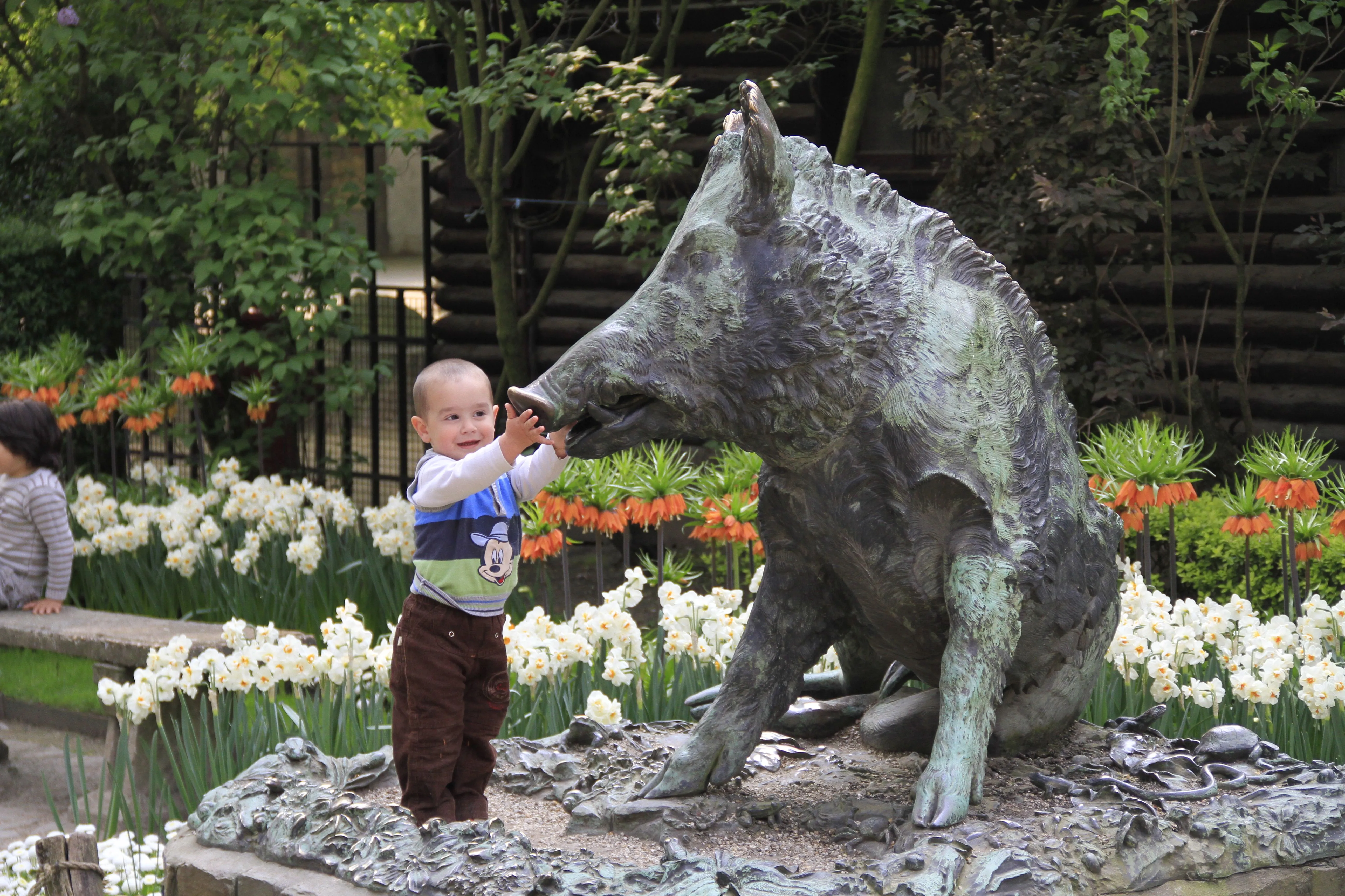 Un niño pequeño se estira para tocar el hocico de una estatua de bronce de un jabalí, rodeado de narcisos blancos y tulipanes naranjas en un jardín.
