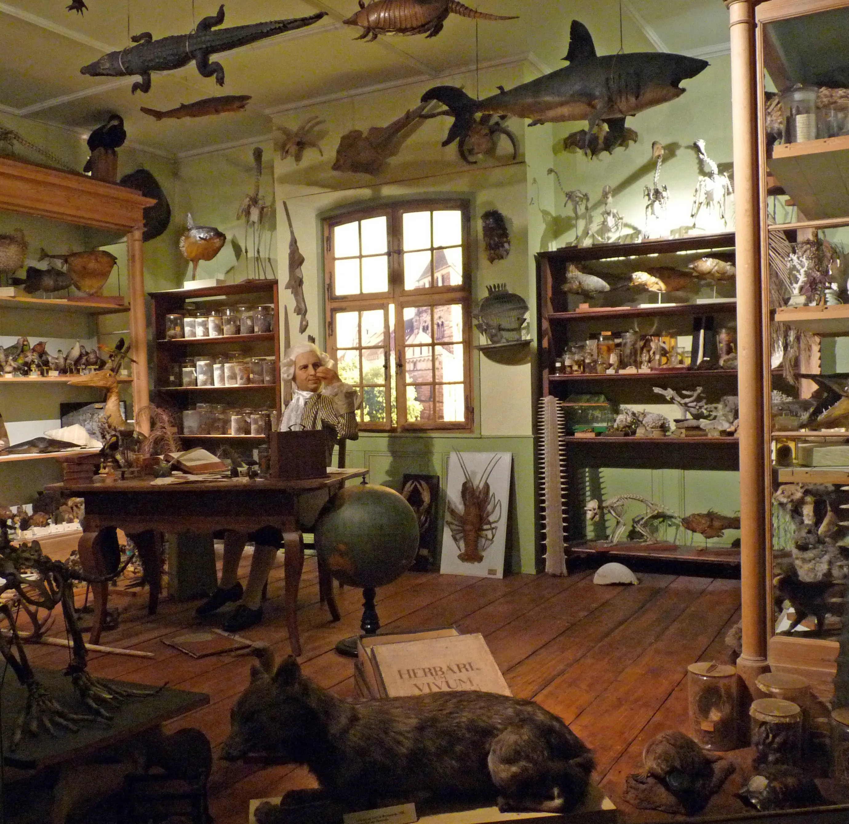Vista representativa del Museo Zoológico de Estrasburgo en Estrasburgo.