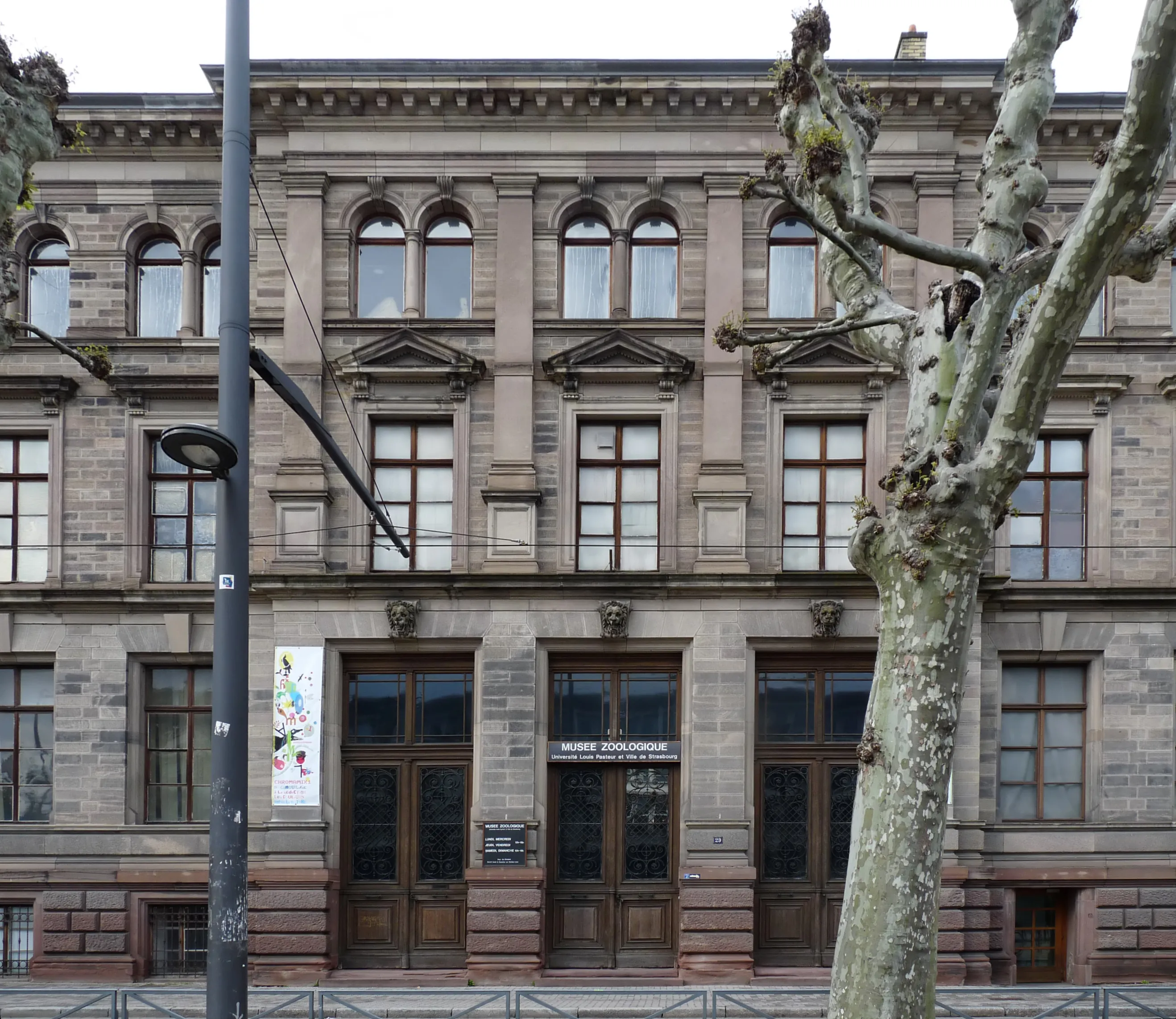 Vista representativa del Museo Zoológico de Estrasburgo en Estrasburgo.